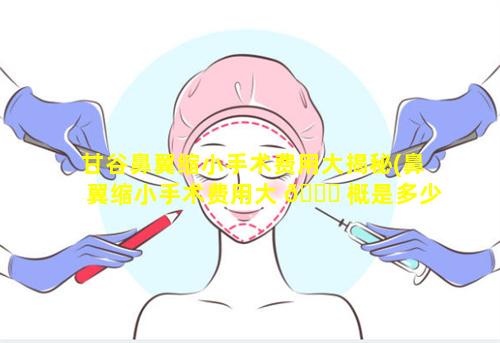 甘谷鼻翼缩小手术费用大揭秘(鼻翼缩小手术费用大 🐅 概是多少安全 🌲 吗)